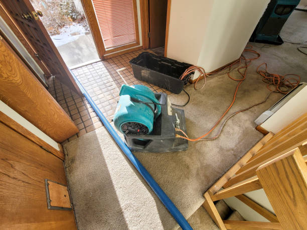 Best Carpet water damage restoration  in Vinton, VA