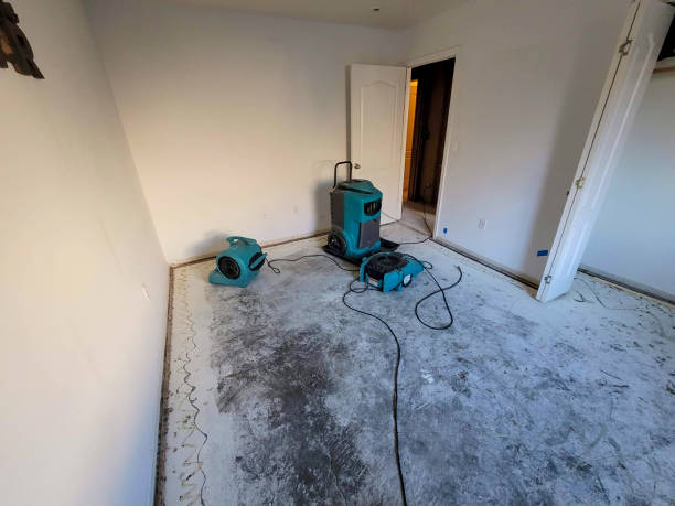 Best Water damage contractors near me  in Vinton, VA