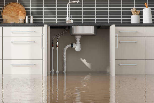 Best Water damage contractors near me  in Vinton, VA