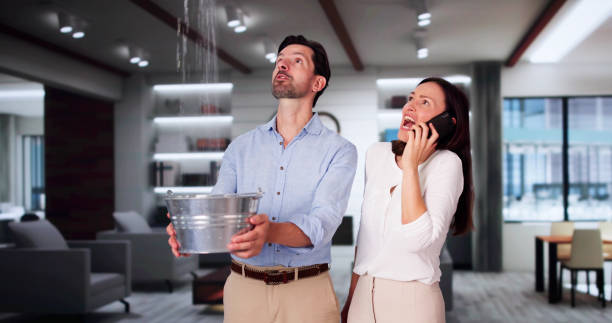 Best Carpet water damage restoration  in Vinton, VA