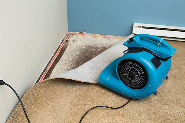 Best Emergency water damage restoration  in Vinton, VA